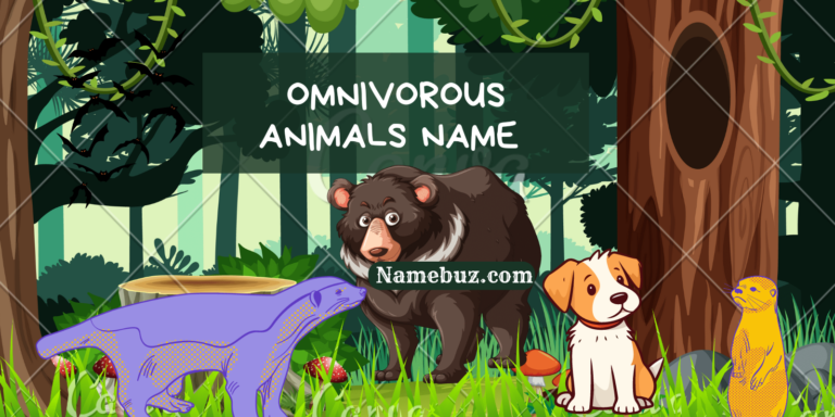 Omnivorous animals name